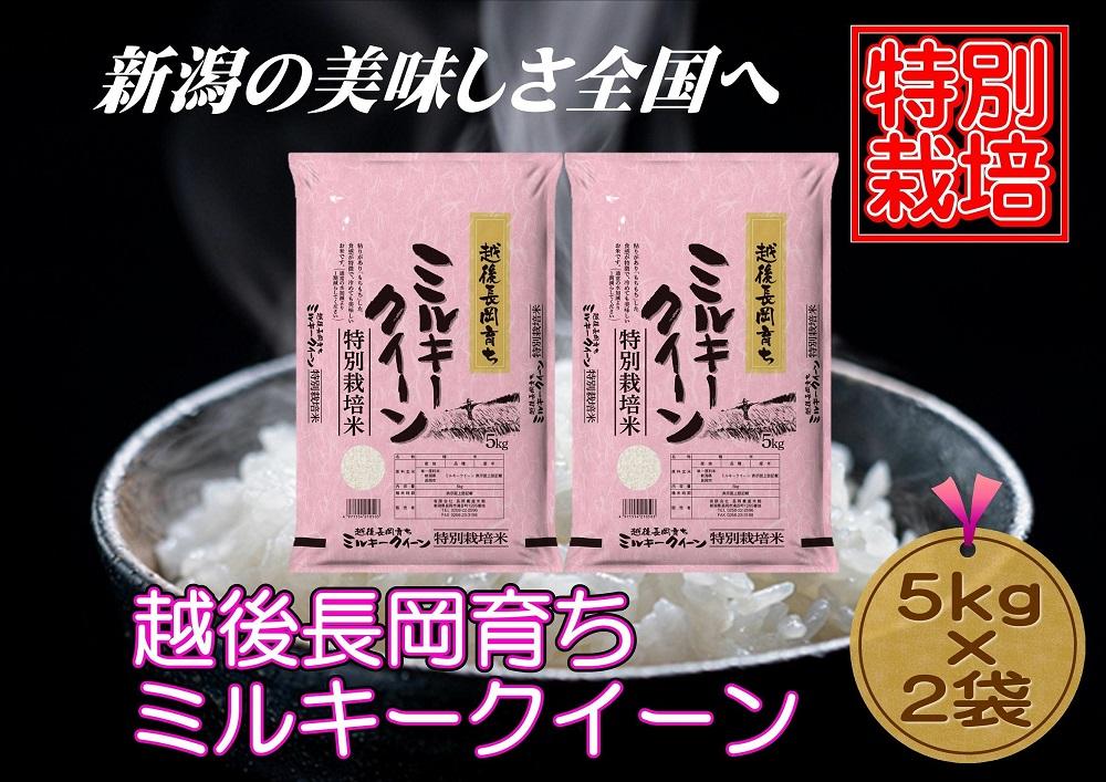 【特別栽培米】新潟県産ミルキークイーン　5kg×2袋（越後長岡育ち）