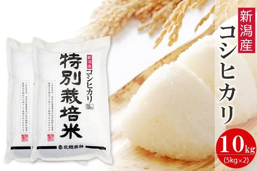 特別栽培米 新潟産コシヒカリ 10kg  令和7年産 精米 白米