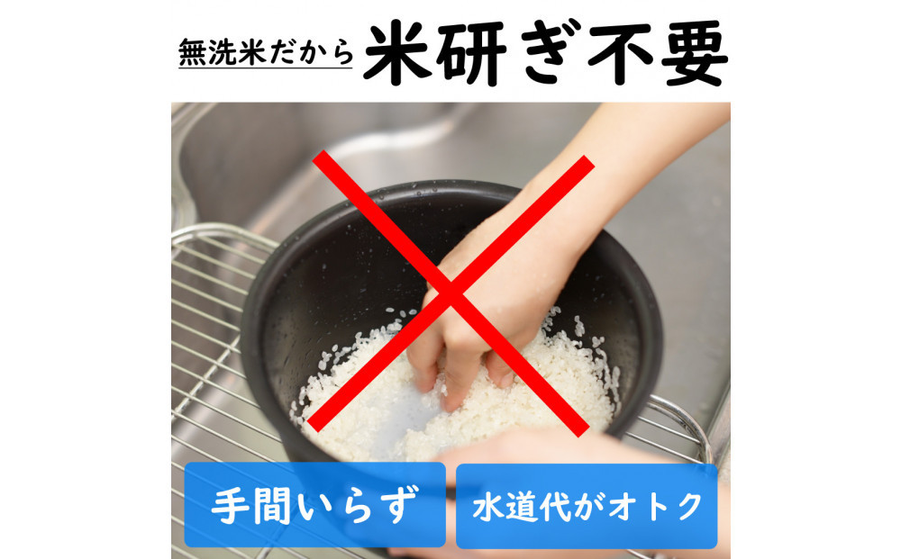 莉、蜥7蟷エ逕」 譁ー貎溽恁 鬲壽イシ逕」 辟。豢礼アウ 繧ウ繧キ繝偵き繝ェ5kg 邊セ邀ウ 荳遲臥アウ 螟ゥ邉ァ