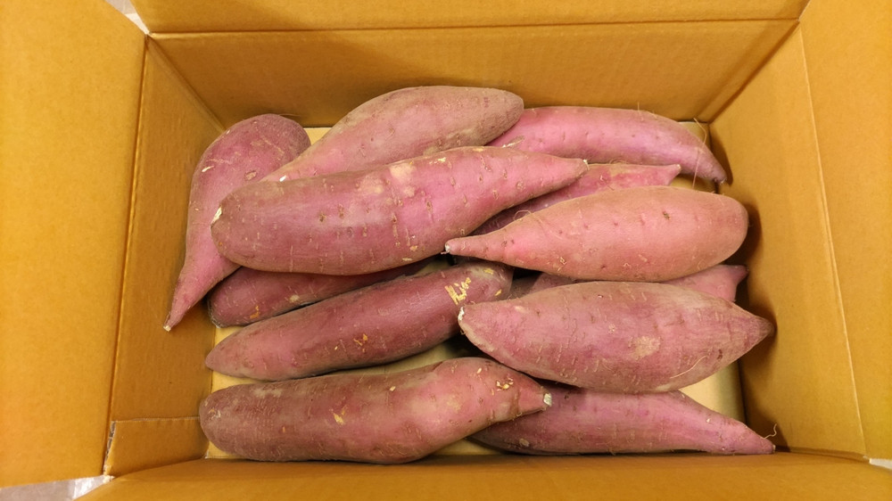 ã2025幎å
è¡åä»ãæ°æœåžè¥¿åºç£ã®ãã€ãŸããããããžã§ã³ãã 5kg ã12æäžæ¬ããåºè·äºå®ã