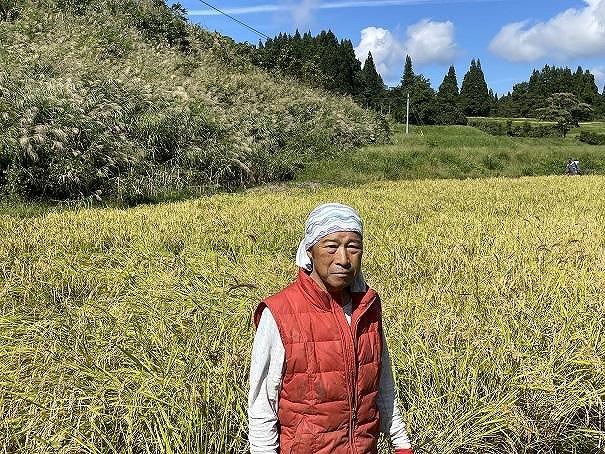 食味鑑定士が選ぶ　日本棚田百選のお米　天空の里・魚沼産こしひかり　５kg×１