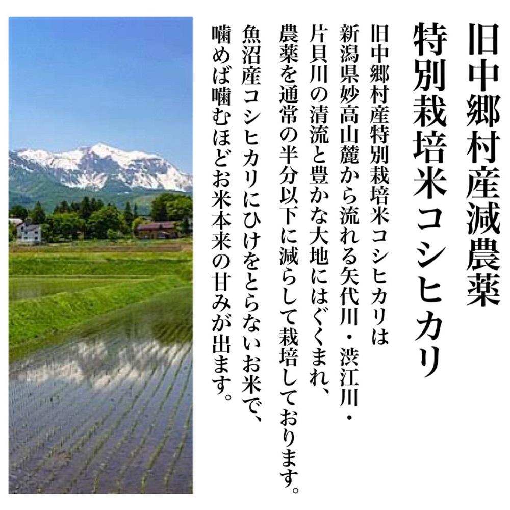 【令和５年度産】新潟県旧中郷村減農薬特別栽培米コシヒカリ 10kg