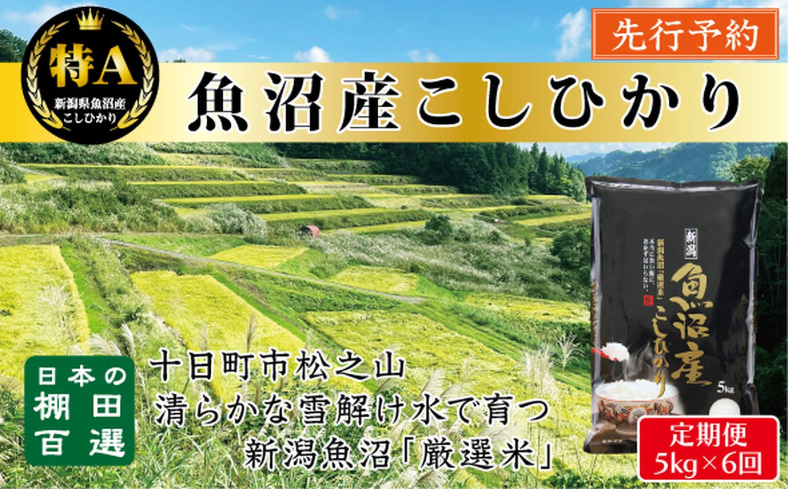 【令和７年産新米予約】【6か月定期便】10月発送開始《食味鑑定士厳選》日本棚田百選・十日町（魚沼）産こしひかり 5kg全6回