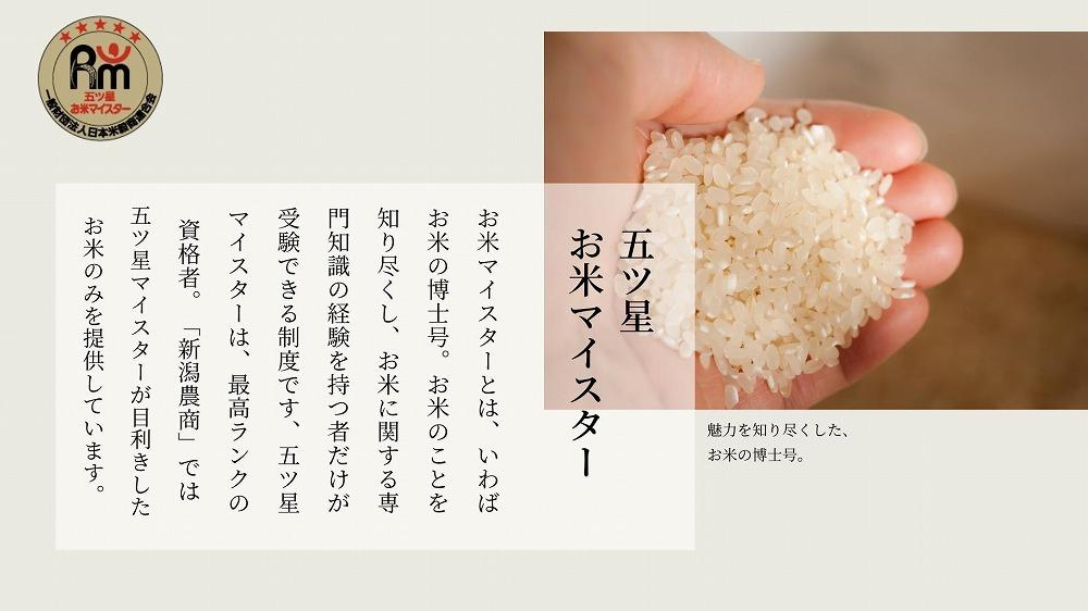 新潟県産虹の煌めき　5kg×2