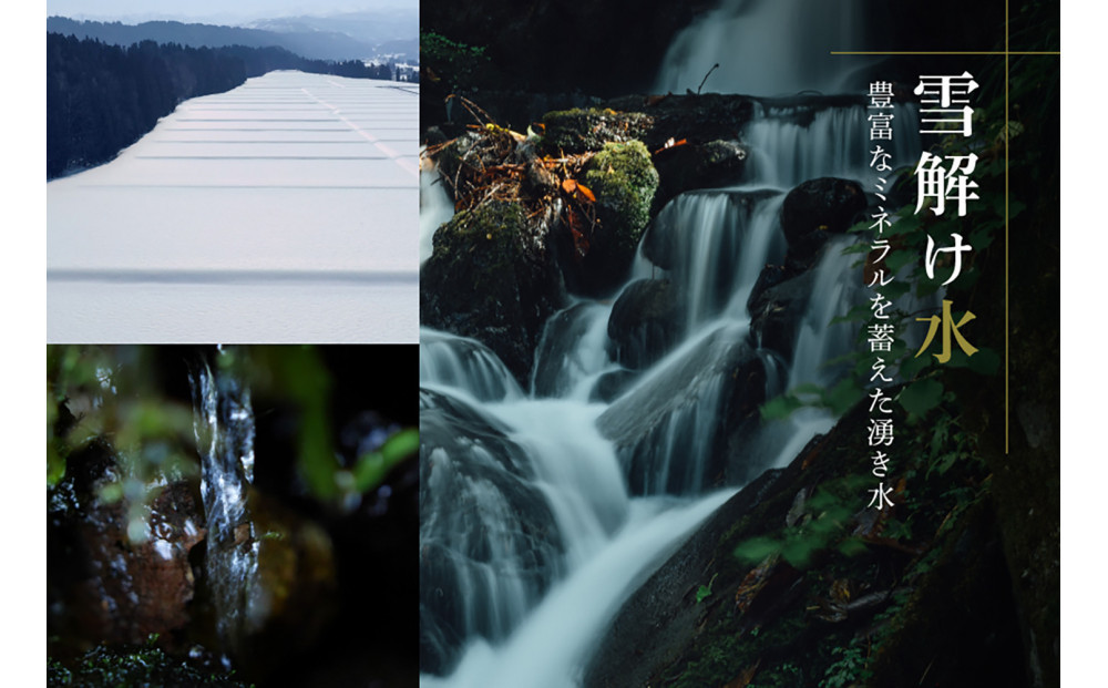 縲仙ョ壽悄萓ソ 12繝カ譛医代蝉サ、蜥7蟷エ逕」縲鷹ュ壽イシ逕」繧ウ繧キ繝偵き繝ェ 髮ェ讀ソ 5kg(5kgテ1陲) テ 12蝗 迚ケ蛻・譬ス蝓ケ邀ウ