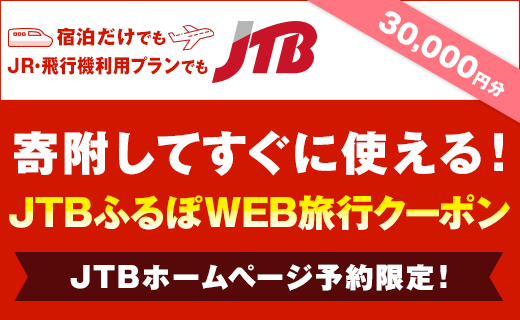 【新潟県】JTBふるぽWEB旅行クーポン（30000円分）