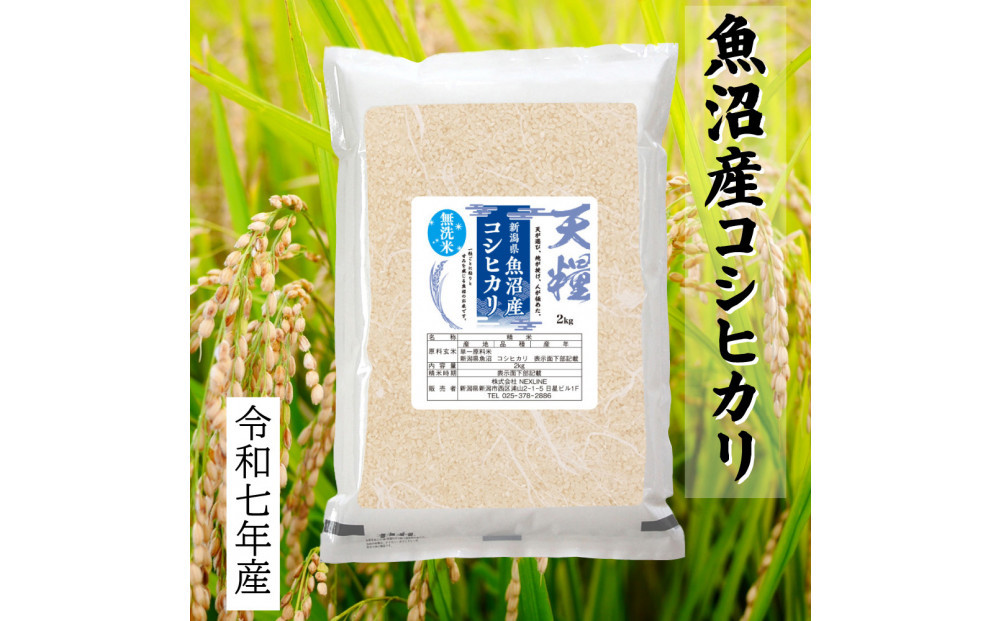 莉、蜥7蟷エ逕」 譁ー貎溽恁 鬲壽イシ逕」 辟。豢礼アウ 繧ウ繧キ繝偵き繝ェ2kg 邊セ邀ウ 荳遲臥アウ 螟ゥ邉ァ