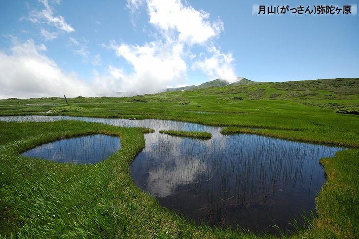 【新潟県】JTBふるぽWEB旅行クーポン（15000円分）