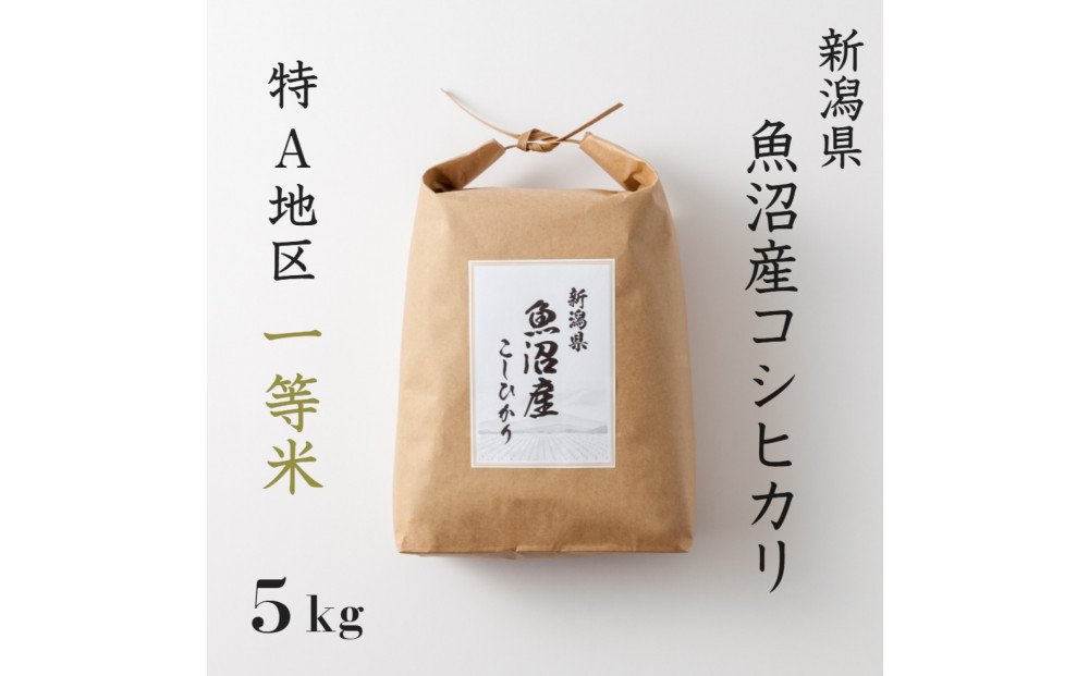 《 特A 一等米 》 令和7年産 魚沼産 コシヒカリ 5kg新潟　新潟県　こしひかり　魚沼　特A地区　5キロ