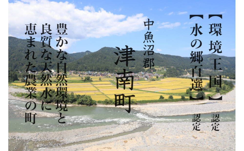 《 令和7年産  》 定期便 5kg × 6ヶ月 魚沼産コシヒカリ 一等米