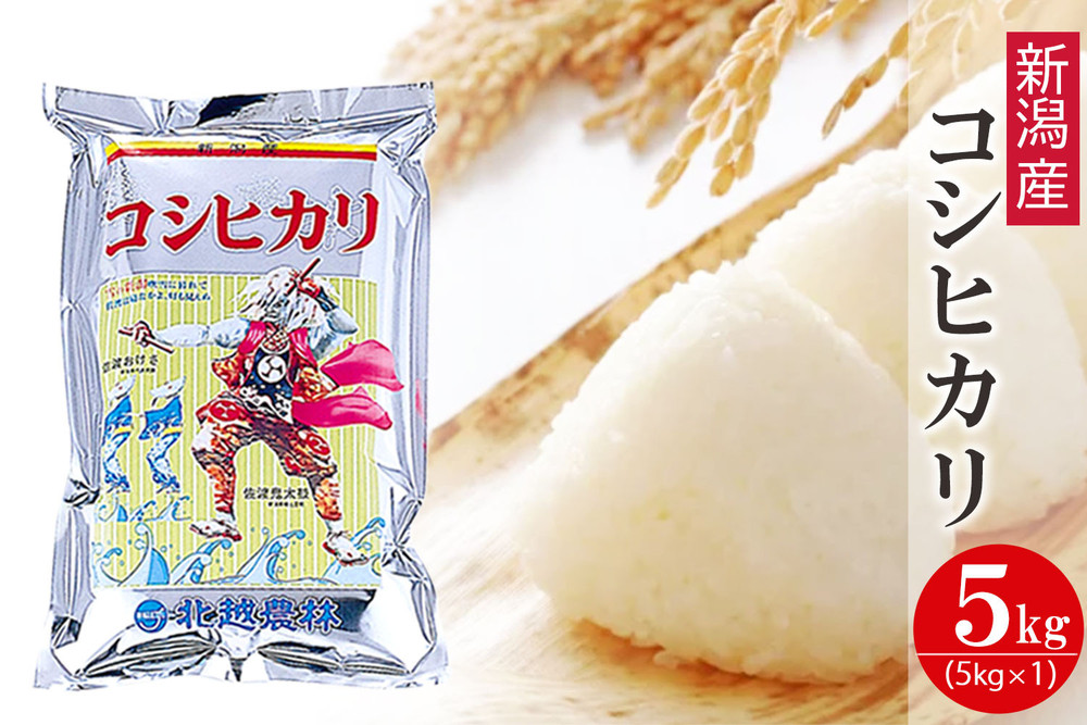 新潟産コシヒカリ 5kg 令和7年産 精米 白米