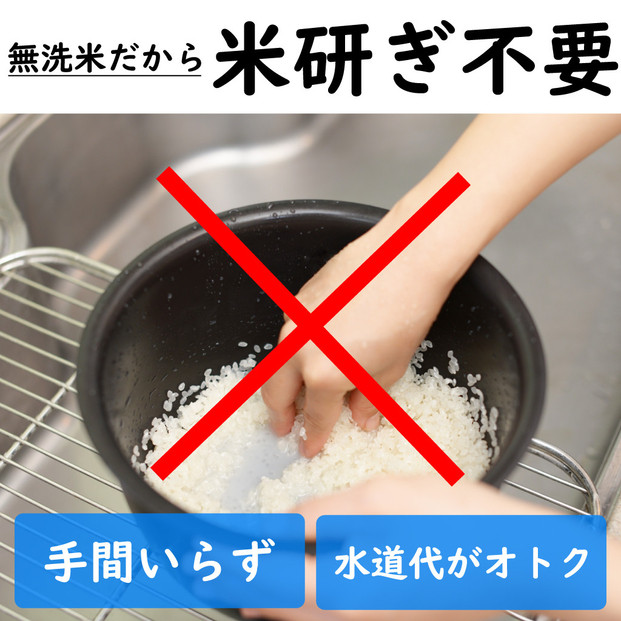 莉、蜥7蟷エ逕」 譁ー貎溽恁 鬲壽イシ逕」 辟。豢礼アウ 繧ウ繧キ繝偵き繝ェ600g(300gx2) 邊セ邀ウ 荳遲臥アウ 螟ゥ邉ァ