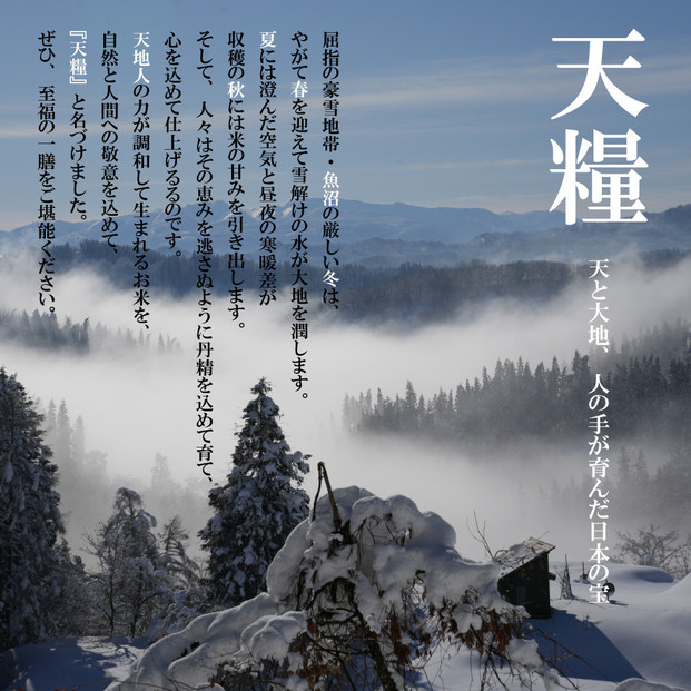 莉、蜥7蟷エ逕」 譁ー貎溽恁 鬲壽イシ逕」 辟。豢礼アウ 繧ウ繧キ繝偵き繝ェ600g(300gx2) 邊セ邀ウ 荳遲臥アウ 螟ゥ邉ァ