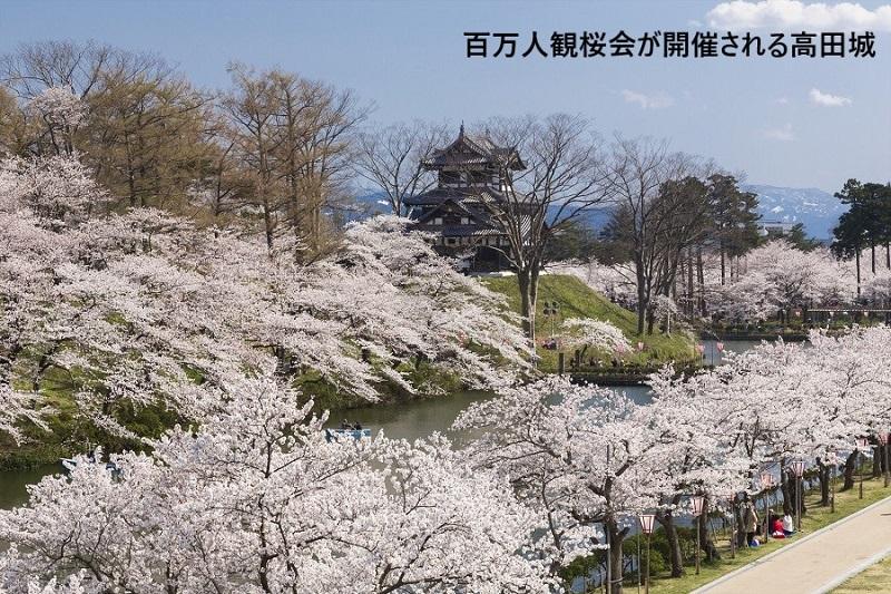 【新潟県】JTBふるさと旅行券（紙券）90,000円分