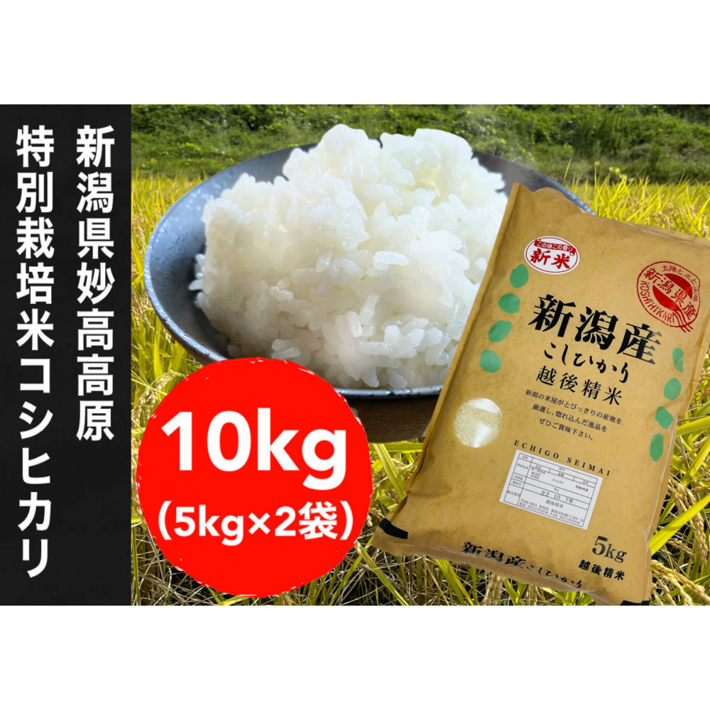 【令和7年度産】新潟県妙高高原減農薬特別栽培米コシヒカリ 10kg