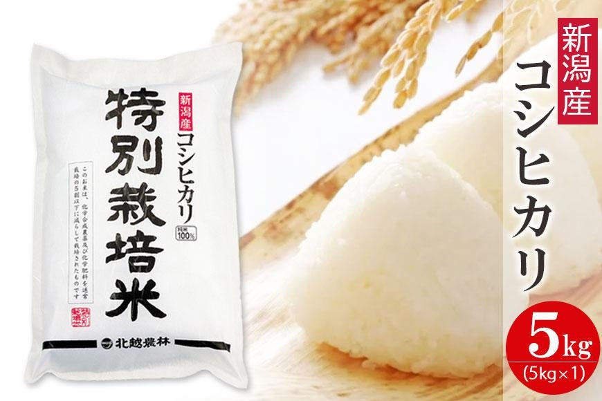 特別栽培米 新潟産コシヒカリ 5kg 令和7年産 精米 白米