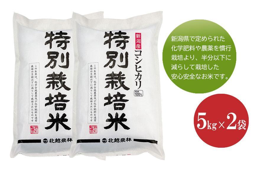 新潟産コシヒカリ 特別栽培米10kg  新潟県認証米 令和5年産