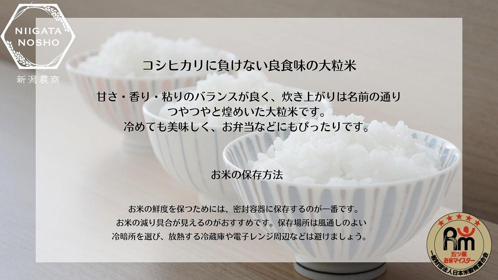 新潟県産虹の煌めき　5kg×2