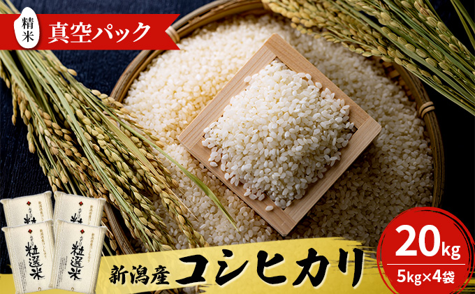 精米　コシヒカリ　20kg米/穀物
