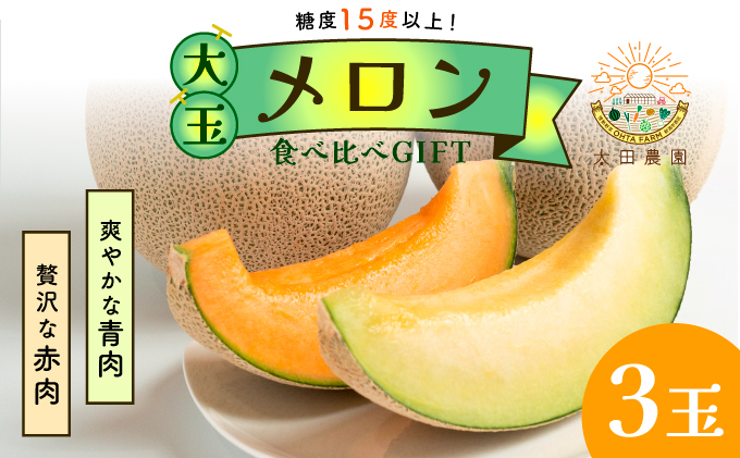 太田農園メロン“GIFT”赤肉メロン＆青肉メロンセット（合計3玉） メロン セット 糖度 赤肉 青肉  高級 果物 フルーツ おやつ デザート 新潟 夏フルーツ