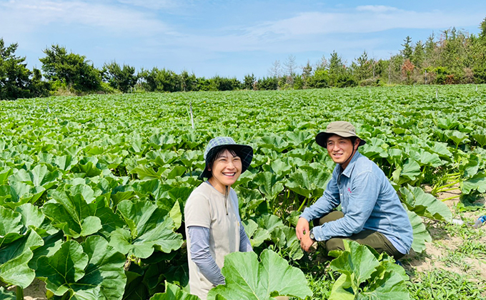 特別なカボチャ ikkaプレミアム【12月-1月発送】 野菜 