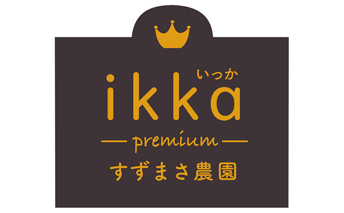 特別なカボチャ ikkaプレミアム【12月-1月発送】 野菜 