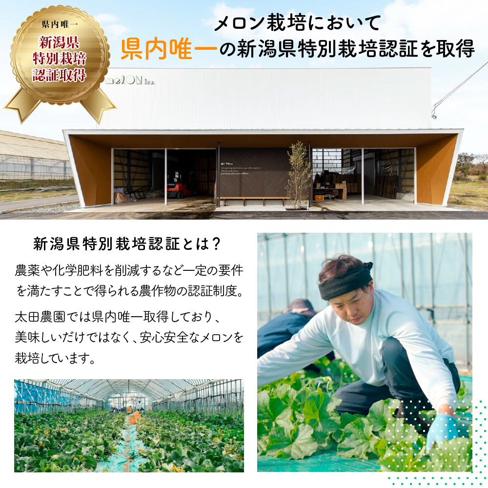 太田農園メロン“GIFT”赤肉メロン＆青肉メロンセット（各2玉ずつ） メロン セット 糖度 赤肉 青肉  高級 果物 フルーツ おやつ デザート 新潟 夏フルーツ 