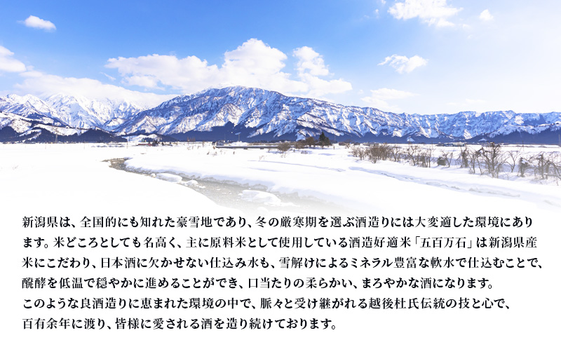 高野酒造 水の都 柳都 純米大吟醸 720ml お酒 日本酒 純米大吟醸酒 