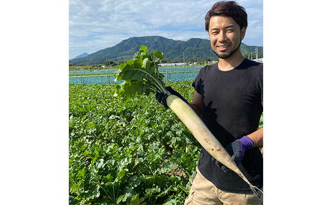 岩崎食品の切干大根巻漬物セット（3種・6点） 