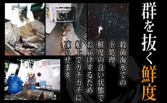 ヤマキ いかのふっくら焼（130g×4袋） 魚貝類 イカ 