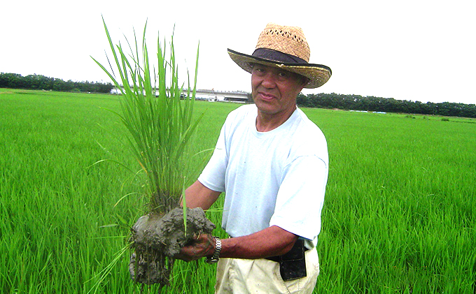 上野農場 自然栽培コシヒカリ精米3kg