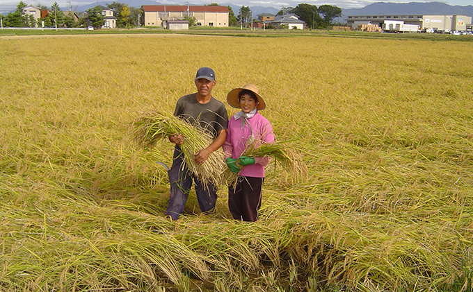 【令和5年産】上野農場 自然栽培農林1号 精米3kg