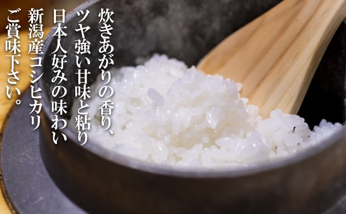 特別栽培米 新潟産コシヒカリ白米 10kg（5kg×2） お米 こしひかり 