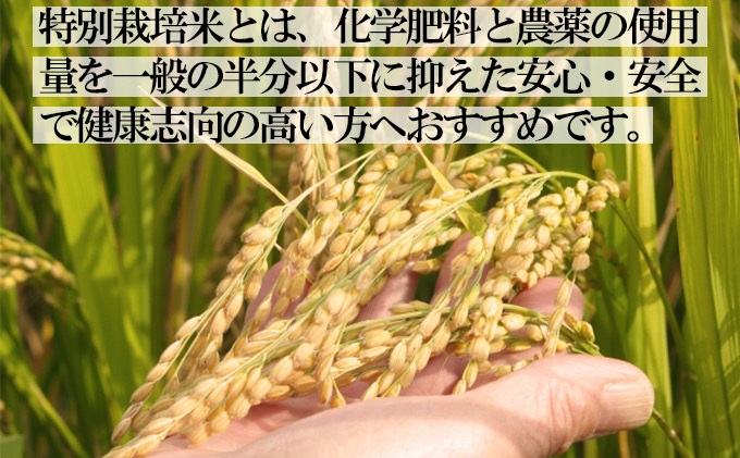 令和5年産 特別栽培米 新潟産コシヒカリ白米 5kg