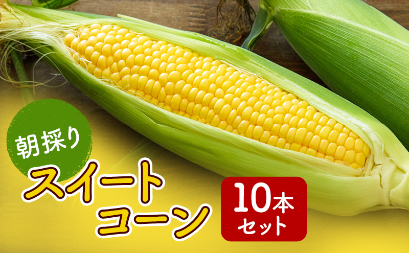 朝採りスイートコーン 10本セット 野菜 とうもろこし