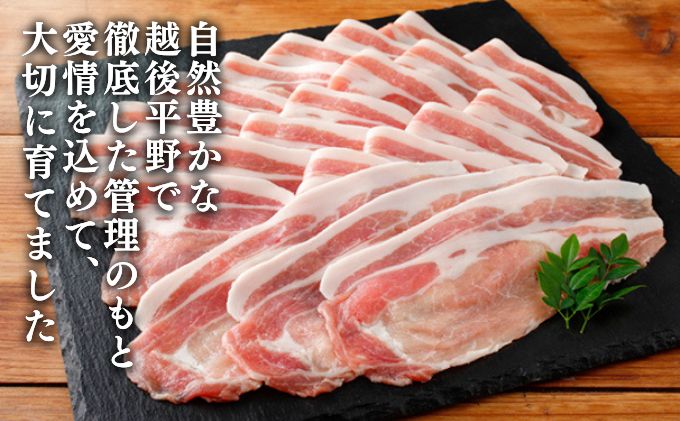 和豚もちぶた ロース しゃぶしゃぶ用 1kg （500g×2パック） セット 豚ロース もち豚 お肉 肉 豚肉 豚 しゃぶしゃぶ おかず 惣菜 朝ごはん お弁当 小分け 冷凍 新潟県 新潟