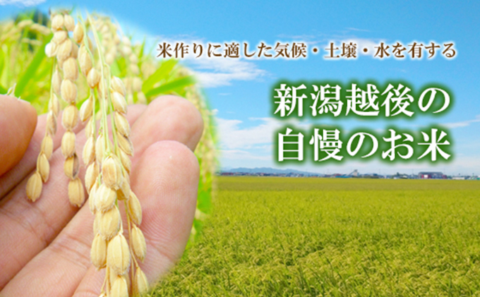 令和5年産 新潟県認証特別栽培米 コシヒカリ 5kg