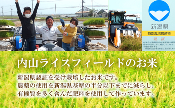 令和5年産 新潟県認証特別栽培米 ミルキークイーン 5kg