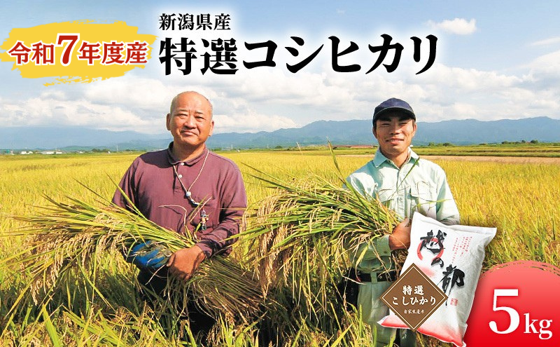 新潟県産 コシヒカリ 5kg 米 精米 白米 こめ コメ お米 おこめ こしひかり 新潟 新潟県