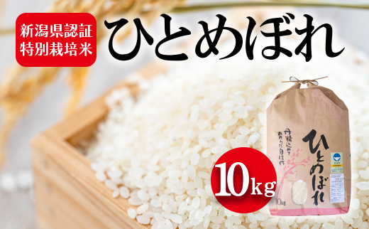 令和5年産 新潟県認証特別栽培米 ひとめぼれ10kg