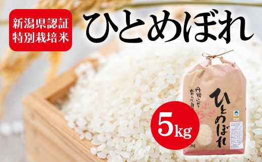 令和5年産 新潟県認証特別栽培米 ひとめぼれ 5kg