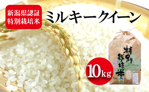 新潟県認証特別栽培米 ミルキークイーン 10kg