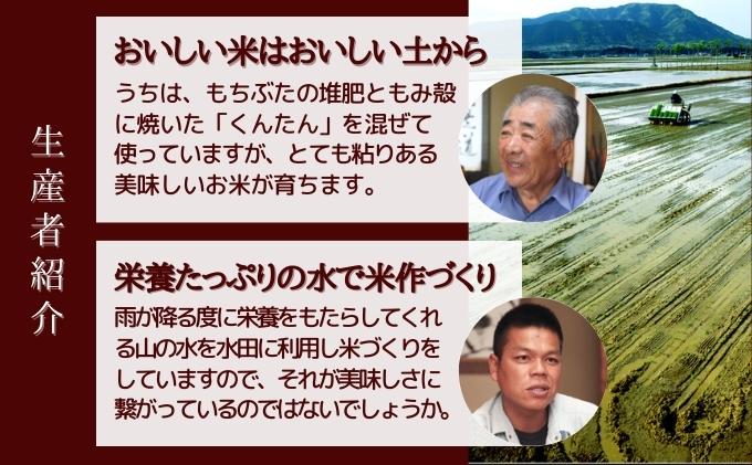 【 定期便 6ヶ月 】堆肥で育てた 新潟産 こしひかり 10kg 定期便 6ヶ月 コシヒカリ 米 お米 こめ コメ 白米 精米 減農薬 産地直送 新潟県産 新潟県 新潟 定期 お楽しみ 6回