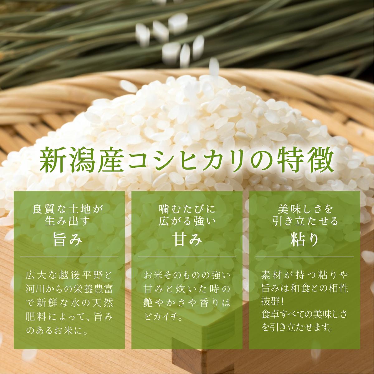 【令和6年新米予約】無洗米新潟産コシヒカリセット3ヵ月定期 5kg ＋ 300g×3 定期便