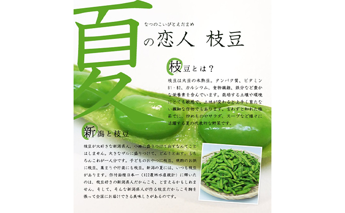 渡辺さん家の新潟県黒埼産 くろさき茶豆1.5kg