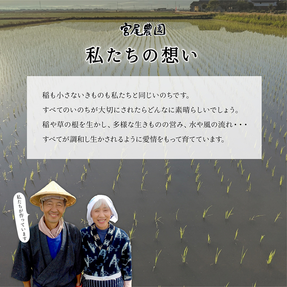 【令和5年産】宮尾農園 自然栽培米「コシヒカリ」4kg 米 令和5年 新米 お米 4kg こめ おこめ コメ 精米 コシヒカリ こしひかり セット ご飯 ごはん 白米 新潟 特別栽培米