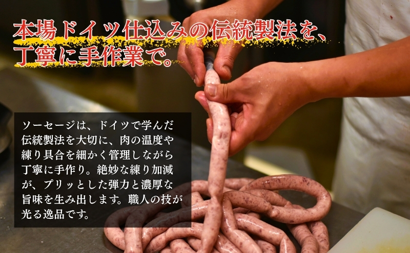 メッツゲライテラ　セレクトファイブ お肉 豚肉 ハム ソーセージ ジューシー ドイツのスパイス 詰め合わせ 惣菜 サラダ おつまみ 