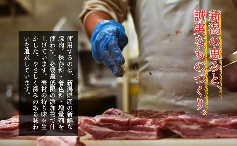 メッツゲライテラ　セレクトファイブ お肉 豚肉 ハム ソーセージ ジューシー ドイツのスパイス 詰め合わせ 惣菜 サラダ おつまみ 