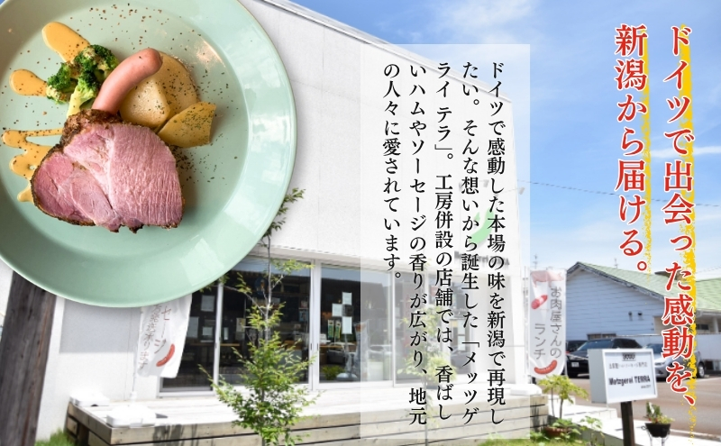 メッツゲライテラ　セレクトファイブ お肉 豚肉 ハム ソーセージ ジューシー ドイツのスパイス 詰め合わせ 惣菜 サラダ おつまみ 