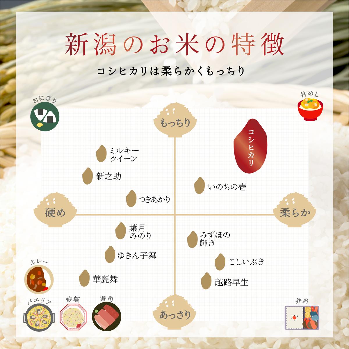 米 6ヶ月定期便  新潟 新之助 5kg 白米 精米 １等米 精米仕立てを発送致します 新潟県産 定期便 お米 5kg  こめ コメ ブランド米 6ヶ月 半年 6回 お楽しみ 